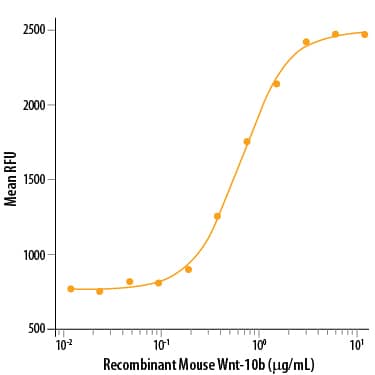 Recombinant Mouse Wnt-10b (Catalog # 2110-WN) stimulates cell proliferation/survival of the IEC-18 rat small intestinal epithelial cell line. The ED50 for this effect is 0.3-1.2 μg/mL.