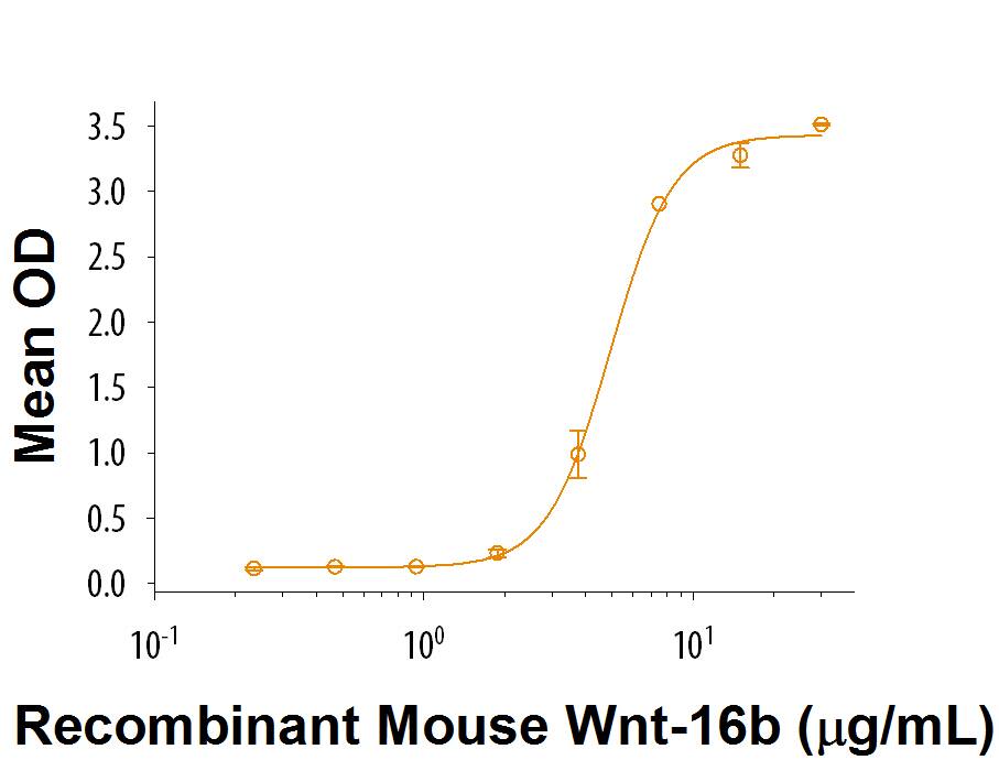 Recombinant Mouse Wnt-16b (Catalog # 9148-WN/CF) induces differentiation of the C3H10T1/2 mouse mesenchymal stem cell line to alkaline phosphatase secreting osteoblast cells. The ED50 for this effect is 2-12 µg/mL.