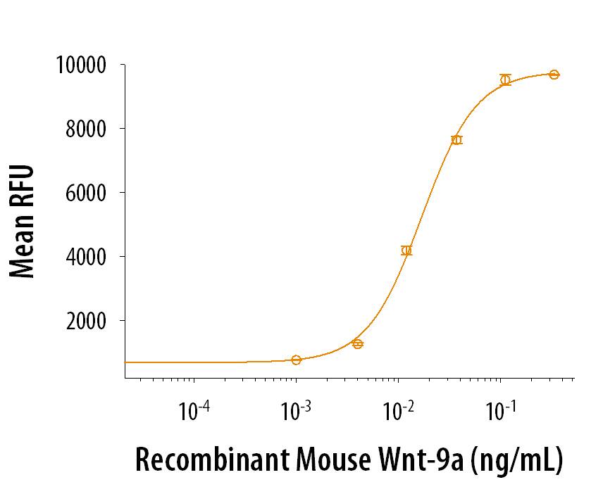 Recombinant Mouse Wnt-9a (Catalog # 8148-WN/CF) activates TCF reporter activity in HEK293 human embryonic kidney cells expressing human Frizzled-4 and human LRP-5. The ED50 for this effect is 8-40 ng/mL.