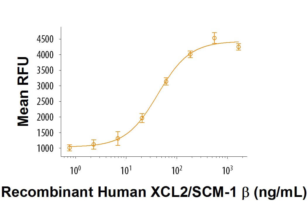 Recombinant Human XCL2/SCM-1 beta (Catalog # 8418-X2/CF) chemoattracts BaF3 mouse pro B cells transfected with human XCR1. The ED50 for this effect is 10-60 ng/mL.