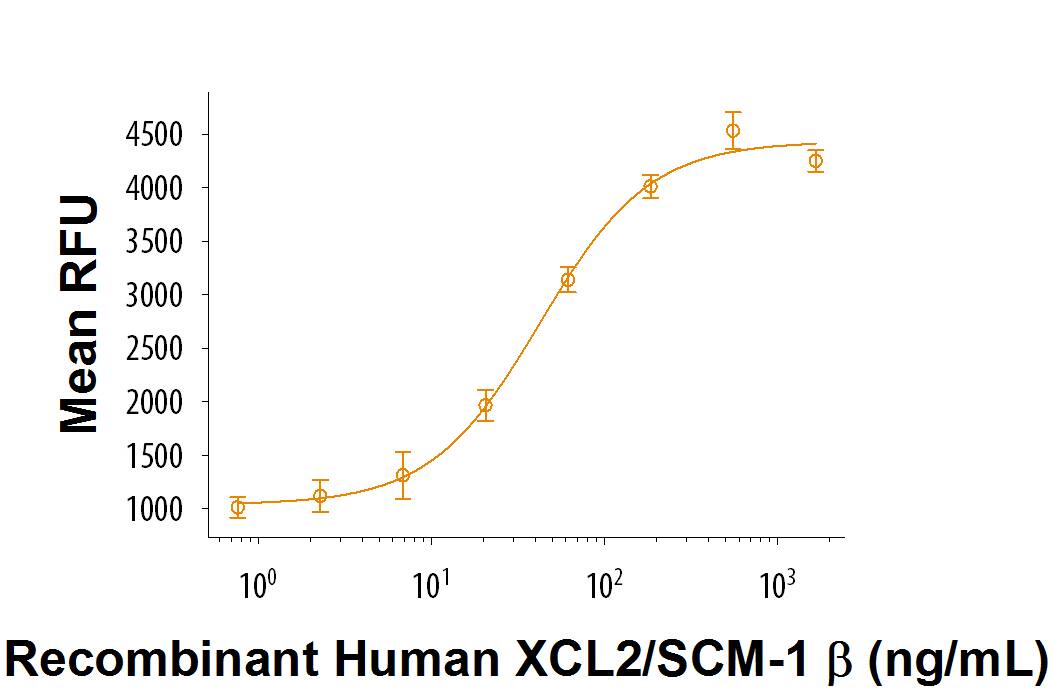 Bioactivity XCL2 [Unconjugated]