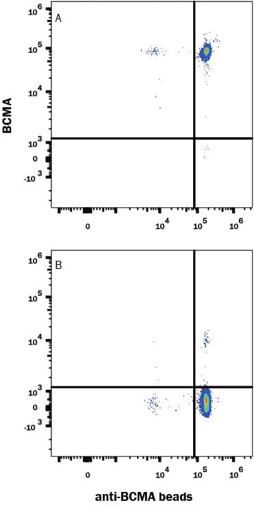 Fluorescent beads conjugated to anti-Human BCMA Monoclonal Antibody were stained with (A) Recombinant Human BCMA/TNFRSF17 Fc Chimera Atto 647N Protein (Catalog # ATM193) or (B) unstained.