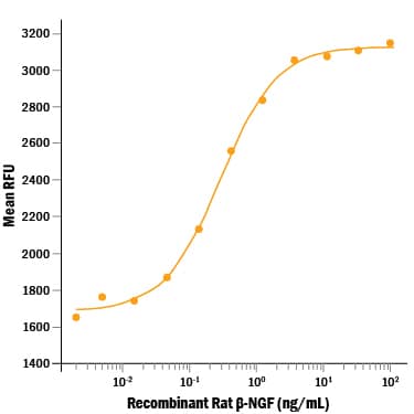 Recombinant Rat  beta -NGF (Catalog # 556‑NG) stimulates cell proliferation of the TF-1 human erythroleukemic cell line. The ED50 for this effect is 0.1-0.6 ng/mL.