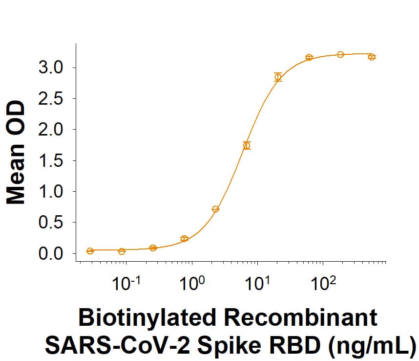 Biotinylated Recombinant SARS-CoV-2 Spike RBD His-tag (Catalog # BT10500) binds Recombinant Human ACE-2 Fc Chimera (10544-ZN) in a functional ELISA.