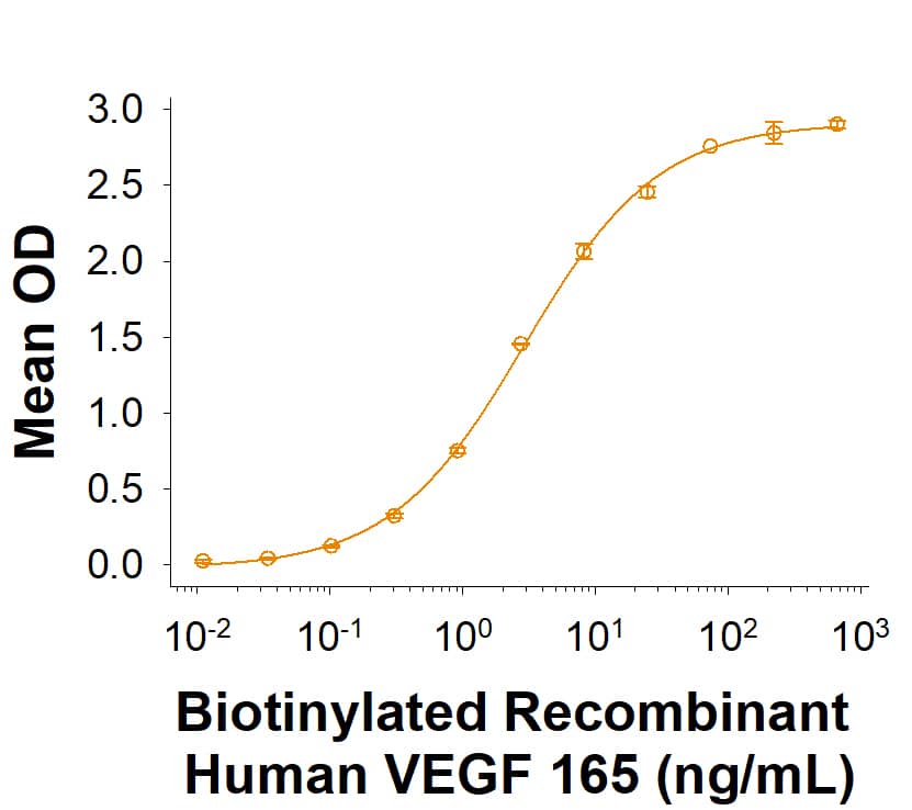 When Recombinant Human VEGFR1/Flt-1 Fc Chimera (321-FL) is immobilized at 0.2 μg/mL (100 μL/well), Biotinylated Recombinant Human VEGF 165 (Catalog # BT10543) binds with an ED50 of 0.8-6.4 ng/mL.