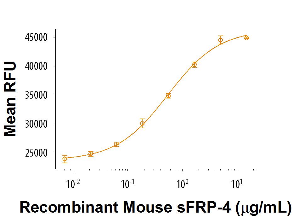 Recombinant Mouse sFRP-4 (Catalog # 9806-SF) activates Wnt induced TCF reporter activity in HEK293 human embryonic kidney cells. The ED50 for this effect is 0.2-1.2 µg/mL in the presence of 5 ng/mL Recombinant Mouse Wnt-3a (Catalog # 1324-WN).