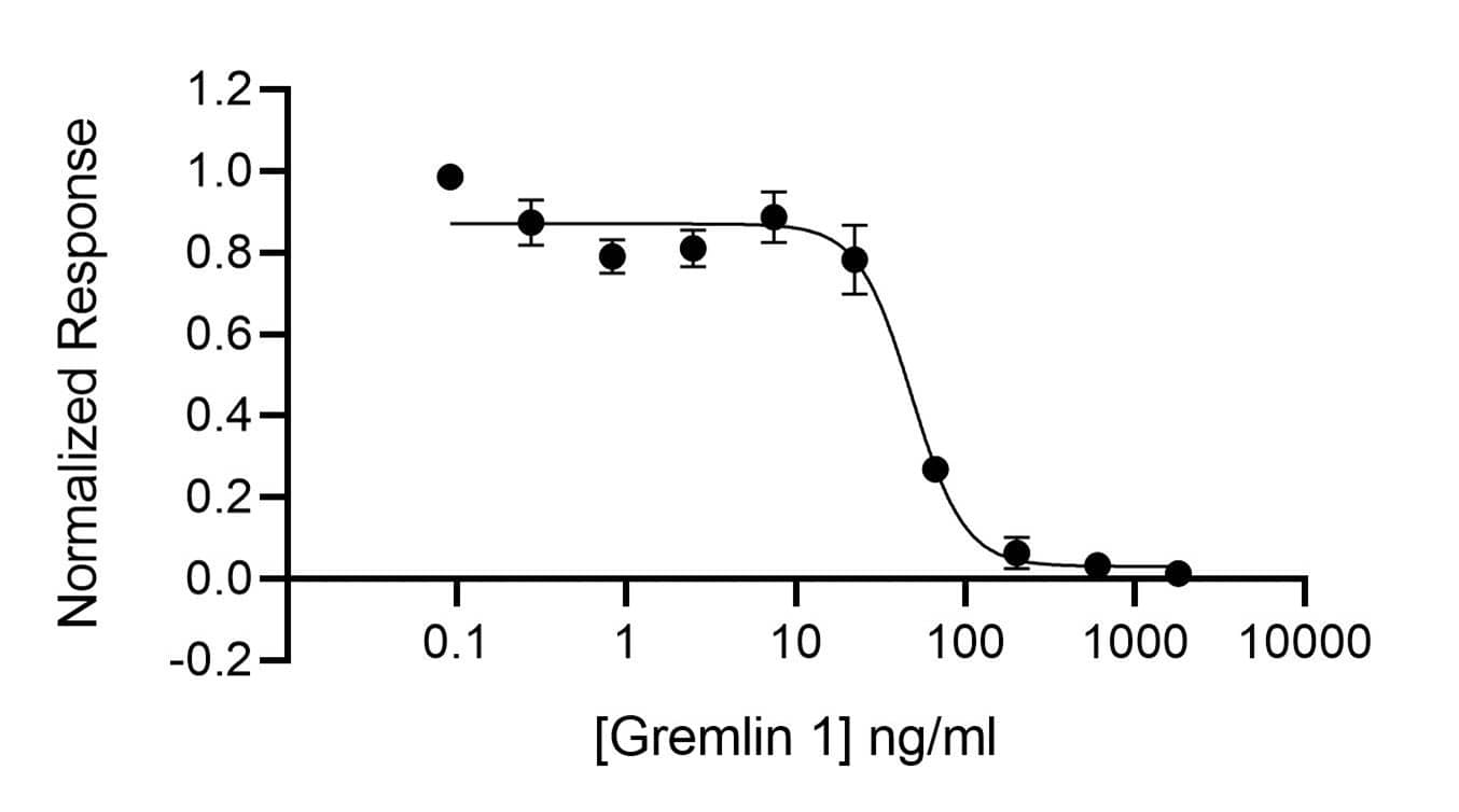 Gremlin 1 activity is determined using inhibition of the BMP2 response (Qk007 #010, 52 ng/ml) from a BMP2-responsive firefly luciferase reporter in stably transfected HEK293T cells. Cells are treated (n=4) with a serial dilution of Gremlin 1 in BMP2 for 6 hours. Firefly luciferase activity is measured and normalized to the control Renilla luciferase activity.Gremlin-1 inhibits BMP-2 induced luciferase activity with an EC50 = 47.9 ng/ml (2.66 nM).