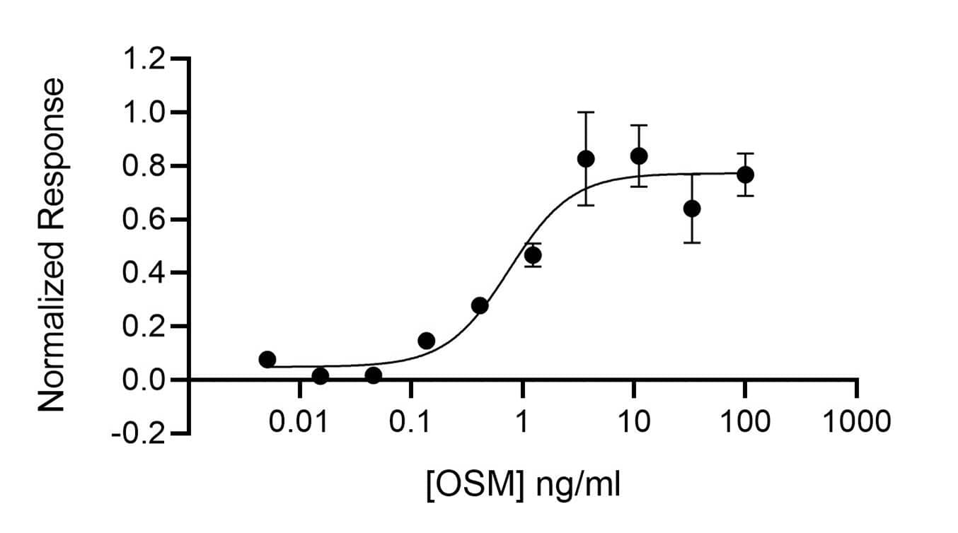 OSM activity is determined using the Promega serum response element luciferase reporter assay (*) in transfected HEK293T cells. Cells are treated in triplicate with a serial dilution of OSM for 6 hours. Firefly luciferase activity is measured and normalized to the control Renilla luciferase activity. EC50 = 0.75 ng/ml (34.2 pM).*Promega pGL4.33[luc2P/SRE/Hygro] #E1340