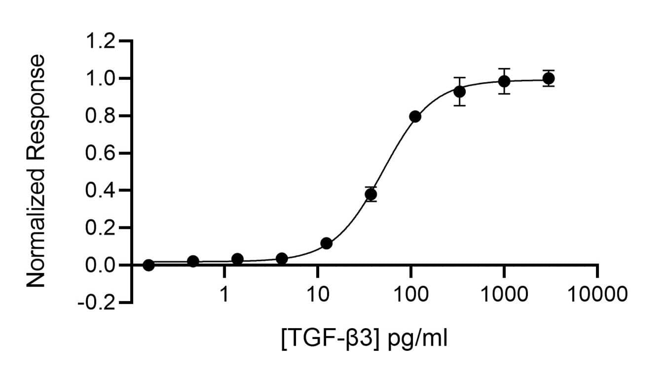 TGF-beta 3 activity is determined using a TGF-beta 3-responsive firefly luciferase reporter in HEK293T cells. Cells are treated in triplicate with a serial dilution of TGF-beta 3 for 6 hours. Firefly luciferase activity is measured and normalized to the control Renilla luciferase activity. EC50 = 50 pg/ml (1.97 pM).