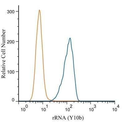 Flow Cytometry: rRNA Antibody (Y10b) [Alexa Fluor 488] [NB100-662AF488] - An intracellular stain was performed on HeLa cells with rRNA antibody (Y10b) NB100-662 (blue) and an isotype control (orange). Cells were fixed with 4% PFA and then permeablized with 0.1% saponin. Cells were incubated in an antibody dilution of 2.5 ug/mL for 30 minutes at room temperature. Both antibodies were conjugated to Alexa Fluor 488.