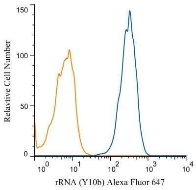 Flow Cytometry: rRNA Antibody (Y10b) [Alexa Fluor 647] [NB100-662AF647] - An intracellular stain was performed on SH-SY5Y cells with rRNA (Y10b) antibody NB100-662AF647 (blue) and a matched isotype control (orange). Cells were fixed with 4% PFA and then permeablized with 0.1% saponin. Cells were incubated in an antibody dilution of 2.5 ug/mL for 30 minutes at room temperature. Both antibodies were conjugated to Alexa Fluor 647.