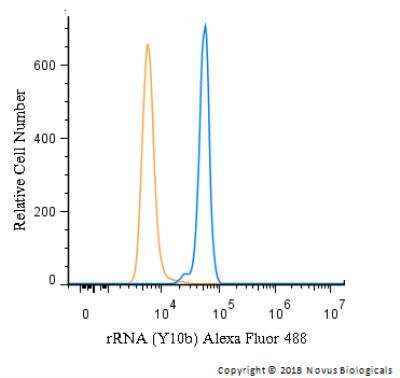 Flow Cytometry: rRNA Antibody (Y10b) [Alexa Fluor® 488] [NB100-662AF488] - An intracellular stain was performed on A549 cells with rRNA Antibody (Y10b) NB100-662AF488 (blue) and a matched isotype control (orange). Cells were fixed with 4% PFA and then permeablized with 0.1% saponin. Cells were incubated in an antibody dilution of 5 ug/mL for 30 minutes at room temperature. Both antibodies were conjugated to Alexa Fluor 488.