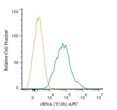 Flow (Intracellular): rRNA Antibody (Y10b) [Allophycocyanin] [NB100-662APC] - An intracellular stain was performed on RAW 246.7 cells with rRNA Antibody (Y10b) NB100-662APC (blue) and a matched isotype control (orange). Cells were fixed with 4% PFA and then permeablized with 0.1% saponin. Cells were incubated in an antibody dilution of 1 ug/mL for 30 minutes at room temperature. Both antibodies were conjugated to Allophycocyanin.