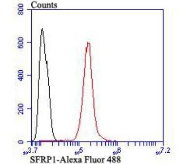 Flow Cytometry: sFRP-1 Antibody [NBP2-89148] - Analysis of SH-SY-5Y cells with SFRP1 antibody at 1/100 dilution (red) compared with an unlabelled control (cells without incubation with primary antibody; black). Alexa Fluor 488-conjugated goat anti-rabbit IgG was used as the secondary antibody.