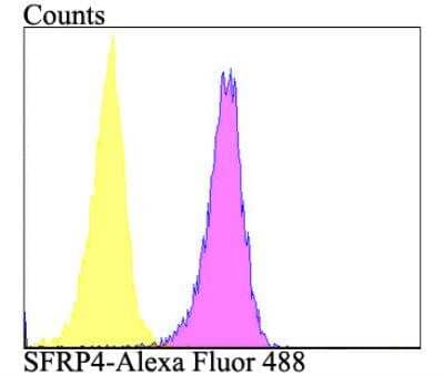 Flow Cytometry: sFRP-4 Antibody (JE41-41) [NBP2-76870] - Flow cytometric analysis of A549 cells with SFRP4 antibody at 1/100 dilution (purple) compared with an unlabelled control (cells without incubation with primary antibody; yellow). Alexa Fluor 488-conjugated goat anti-rabbit IgG was used as the secondary antibody.
