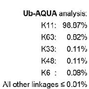 The correctness of linkage and purity of AQUApure Tetra-Ub Chains (K11-linked) Protein (Catalog #UC-45) was assessed using the Absolute Quantitation of Ubiquitin method (Ub-AQUA), an LCMS-based technique that provides extremely accurate information on the composition of Poly-Ubiquitin samples.