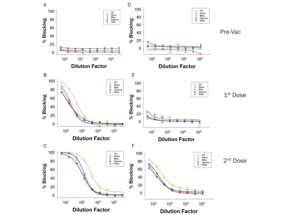 Figure 1: Example data using vaccinated donor samples. Serological samples were collected from two donors over a time course consisting Pre-Vaccination (Pre-Vac), or after receiving the 1st Dose or 2nd Dose of the Moderna Vaccine. Donor 1 (A-C) and Donor 2 (D-F) had different blocking antibody levels after the first and second doses. In addition, increasing amounts of blocking antibodies were present at higher samples Dilution Factors after each dose. The differences in blocking efficiency of ACE-2 association between the WT, Alpha, Beta, Gamma, or Delta variant Spike RBD was measured.