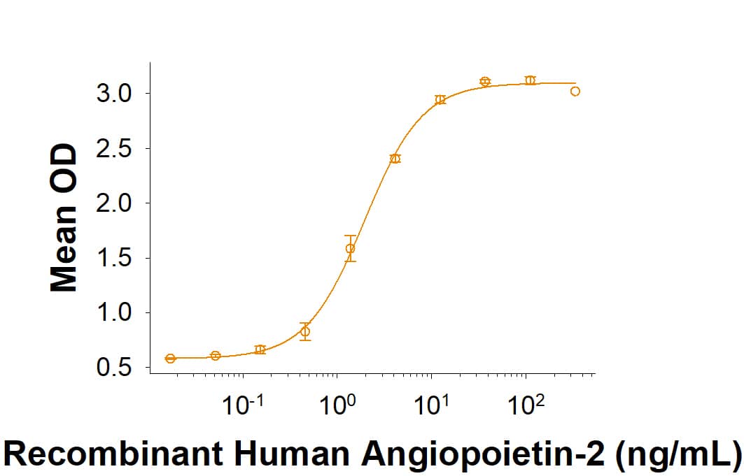 When Recombinant Rat Tie-2 His-tag (10458-T2) is immobilized at 0.5 μg/mL (100 μL/well), Recombinant Human Angiopoietin-2 (623-AN) binds with an ED50 of 0.4-3.6 ng/mL.