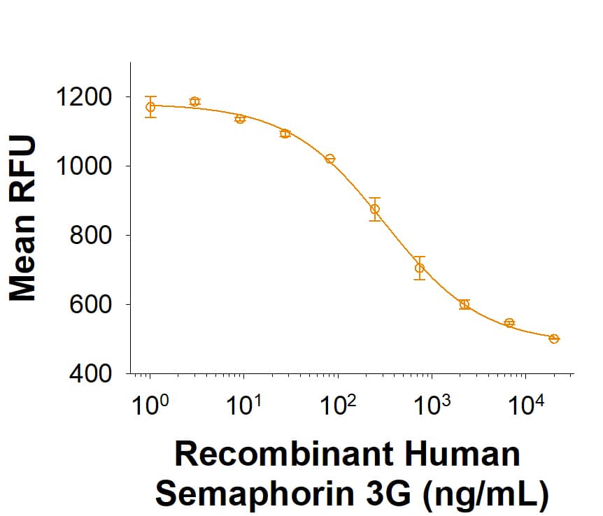 Bioactivity SEMA3G [Unconjugated]