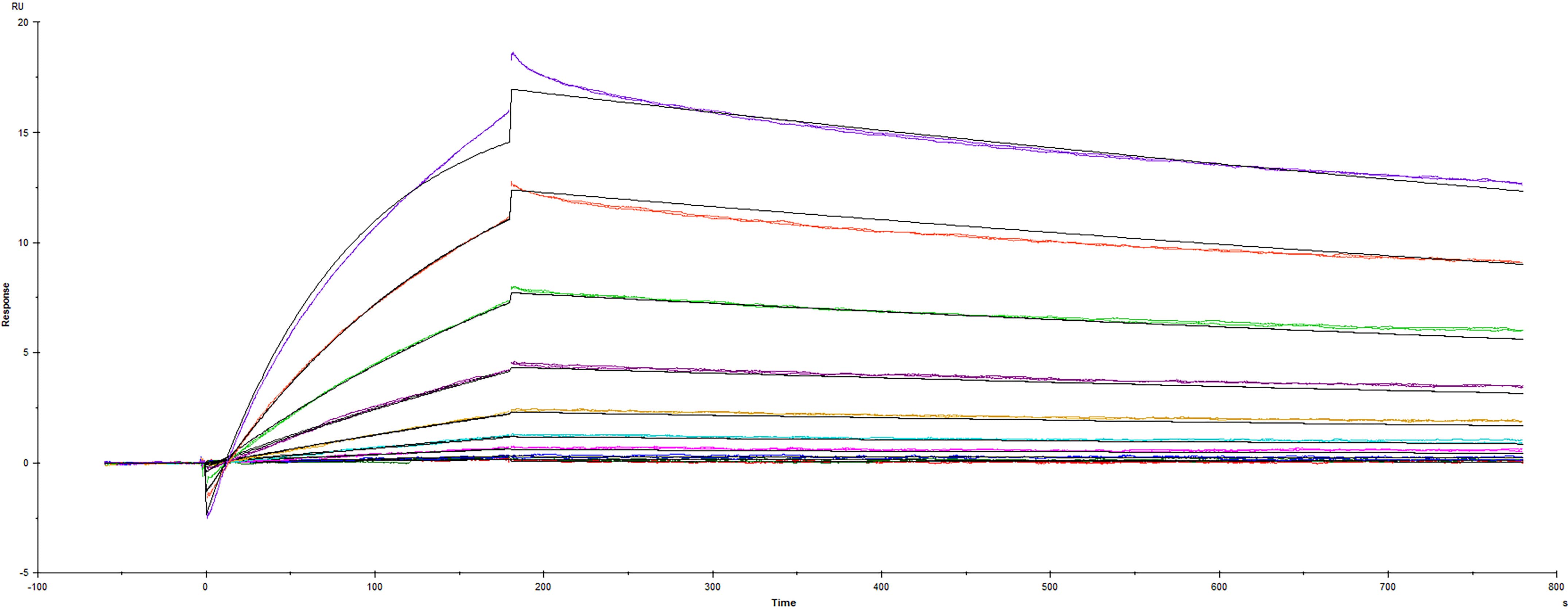 Recombinant SARS-CoV-2 B.1.620 variant Spike RBD protein His-tag (Catalog #10907-CV) was immobilized on a Biacore Sensor Chip CM5, and binding to recombinant human ACE-2 (933-ZN) was measured at a concentration range between 0.184 nM and 94.3 nM. The double-referenced sensorgram was fit to a 1:1 binding model to determine the binding kinetics and affinity, with an affinity constant of KD=4.40 nM.