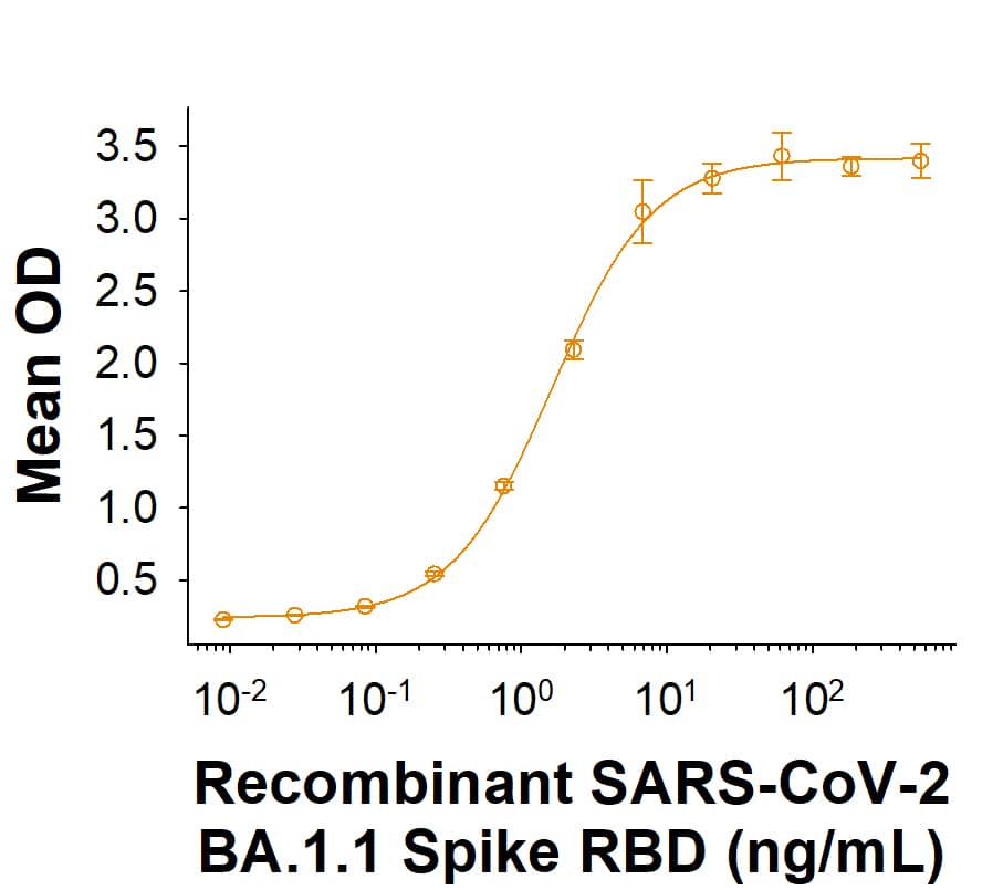 Recombinant SARS-CoV-2 BA.1.1 Spike RBD His-tag Protein (Catalog # 11131-CV) binds Recombinant Human ACE-2 Fc Chimera (10544-ZN) in a functional ELISA.