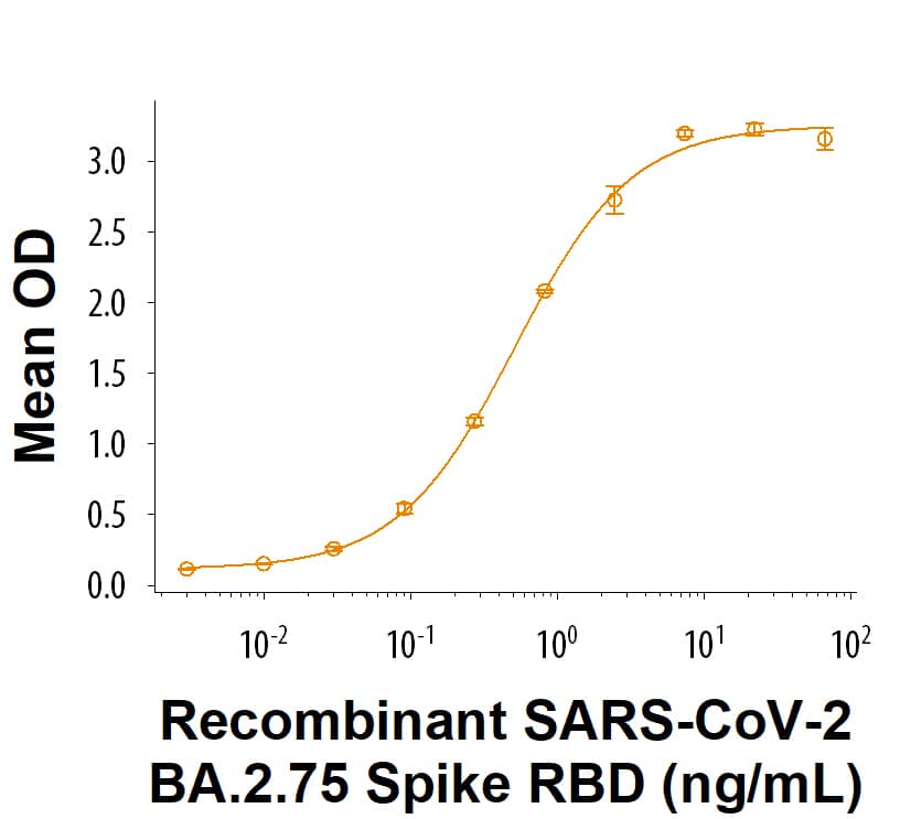 Recombinant SARS-CoV-2 BA.2.75 Spike RBD His-tag (Catalog # 11259-CV) binds Recombinant Human ACE-2 Fc Chimera (10544-ZN) in a functional ELISA.