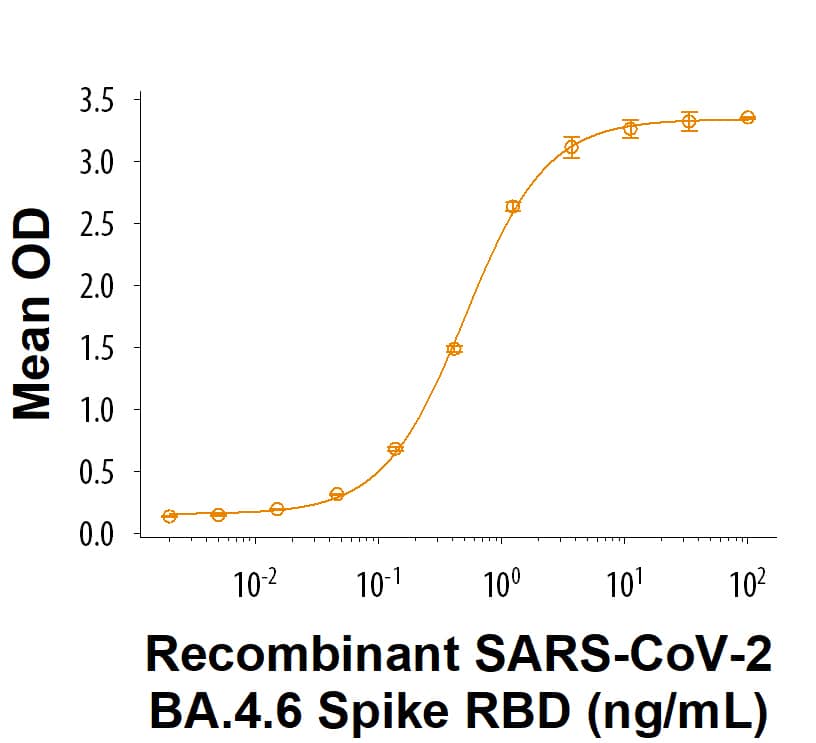 Recombinant SARS-CoV-2 BA.4.6 Spike RBD His-tag Protein (Catalog # 11283-CV) binds Recombinant Human ACE-2 Fc Chimera Protein (10544-ZN) in a functional ELISA.