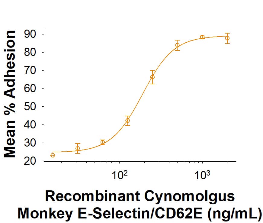 Recombinant Cynomolgus Monkey E-Selectin/CD62E Fc Chimera Protein (Catalog # 11308-ES) supports the adhesion of U937 human histiocytic lymphoma cells. The ED50 for this effect is 75.0-600 ng/mL.