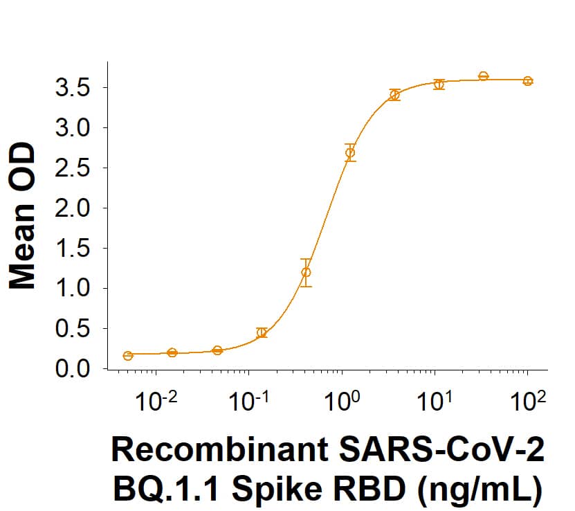 Recombinant SARS-CoV-2 BQ.1.1 Spike RBD His-tag Protein (Catalog # 11322-CV) binds Recombinant Human ACE-2 Fc Chimera (10544-ZN) in a functional ELISA.