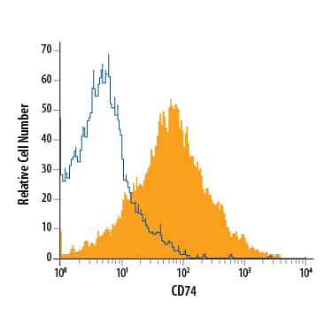 A20 mouse B cell lymphoma cell line was stained with Rat Anti-Mouse CD74 Monoclonal Antibody (Catalog # MAB7478, filled histogram) or isotype control antibody (Catalog # MAB005, open histogram), followed by Allophycocyanin-conjugated Anti-Rat IgG Secondary Antibody (Catalog # F0113).