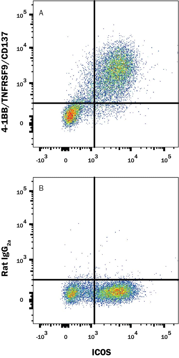 Activated mouse splenocytes were stained with Rat Anti-Mouse ICOS APC‑conjugated  Monoclonal Antibody (Catalog # FAB168A)  and either (A) Rat Anti-Mouse4‑1BB/TNFRSF9/CD137  PE‑conjugated Monoclonal Antibody (Catalog # FAB937P) or (B) Rat  IgG2A Phycoerythrin Isotype Control  (Catalog # IC006P).  View our protocol for Staining  Membrane-associated Proteins. 