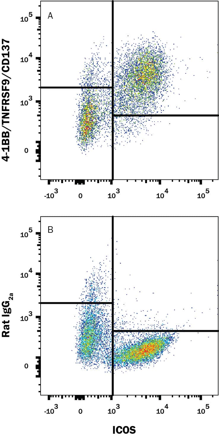 Activated mouse splenocytes were stained with Rat Anti-Mouse ICOS APC-conjugated Monoclonal Antibody (Catalog # FAB168A) and either (A) Rat Anti-Mouse 4-1BB/TNFRSF9/CD137 Monoclonal Antibody (Catalog # MAB937) or (B) Rat IgG2AIsotype Control (Catalog # MAB006) followed by Phycoerythrin-conjugated Anti-Rat IgG Secondary Antibody (Catalog # F0105B). View our protocol for Staining Membrane-associated Proteins.