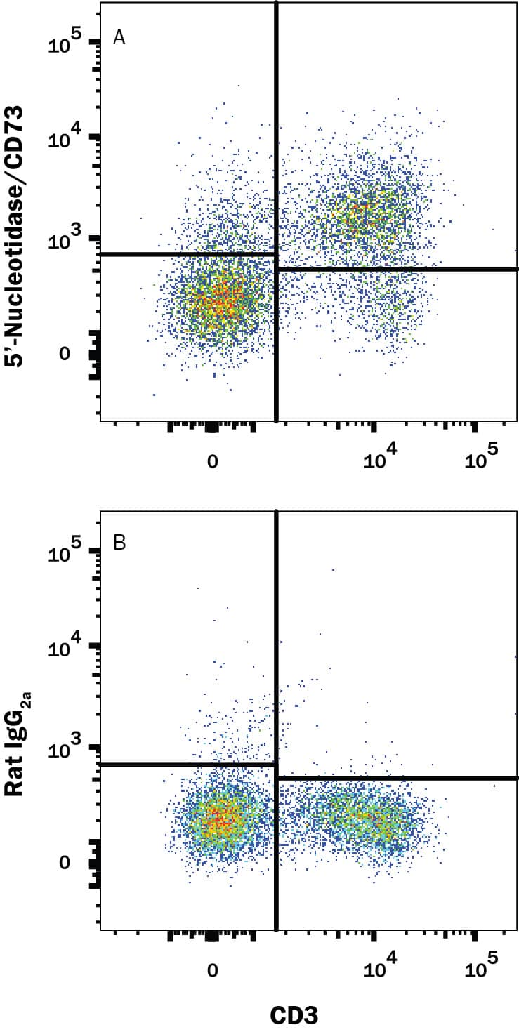 Mouse splenocytes were stained with Rat Anti-Mouse CD3 APC-conjugated Monoclonal Antibody (Catalog # FAB4841A) and either (A) Rat Anti-Mouse 5'-Nucleotidase/CD73 Fluorescein-conjugated Monoclonal Antibody (Catalog # FAB4488F) or (B) Rat IgG2AFluorescein Isotype Control (Catalog # IC006F). View our protocol for Staining Membrane-associated Proteins.