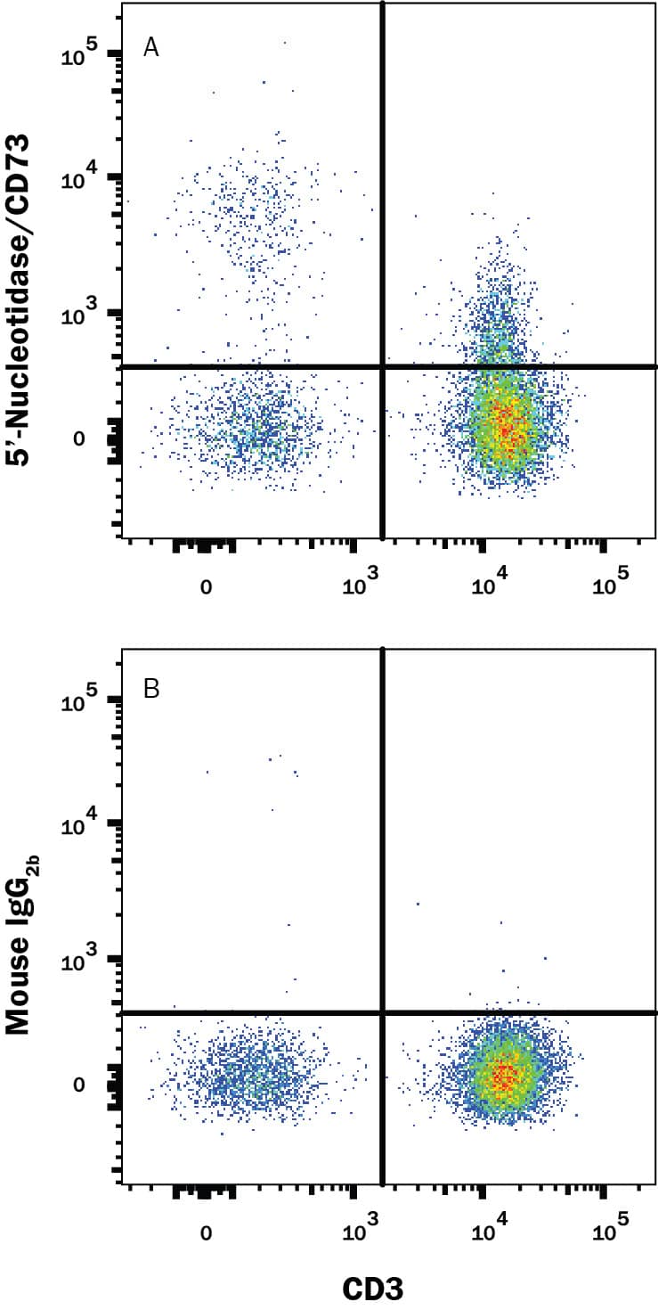 Human peripheral blood mononuclear cells (PBMCs) were stained with Mouse Anti-Human CD3e PE-conjugated Monoclonal Antibody (Catalog # FAB100P) and either (A) Mouse Anti-Human 5'-Nucleotidase/CD73 APC-conjugated Monoclonal Antibody (Catalog # FAB5795A) or (B) Mouse IgG2BAllophycocyanin Isotype Control (Catalog # IC0041A). View our protocol for Staining Membrane-associated Proteins.