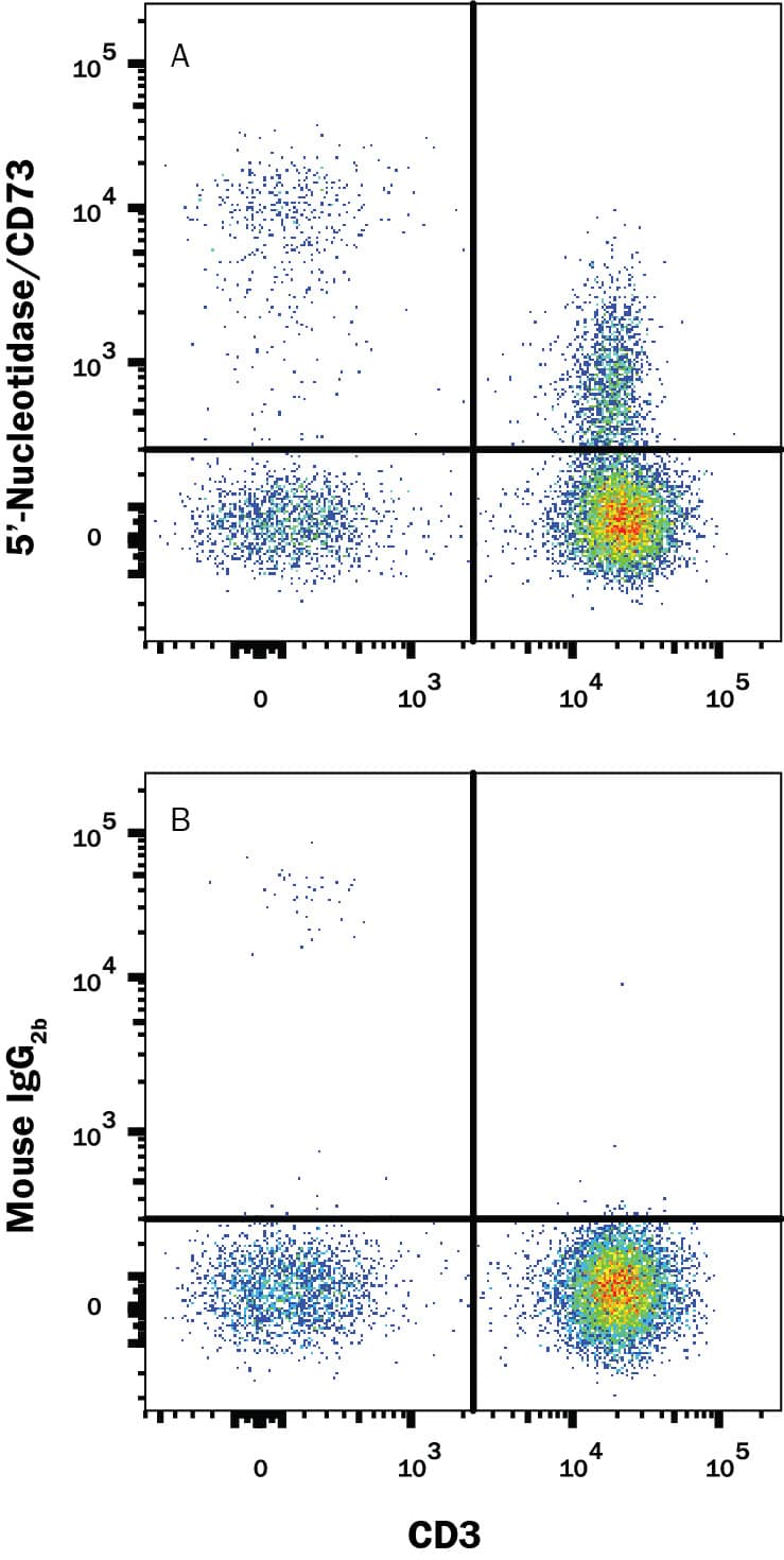 Human peripheral blood mononuclear cells (PBMCs) were stained with Mouse Anti-Human CD3e APC-conjugated Monoclonal Antibody (Catalog # FAB100A) and either (A) Mouse Anti-Human 5'-Nucleotidase/CD73 PE-conjugated Monoclonal Antibody (Catalog # FAB5795P) or (B) Mouse IgG2BPhycoerythrin Isotype Control (Catalog # IC0041P). View our protocol for Staining Membrane-associated Proteins.