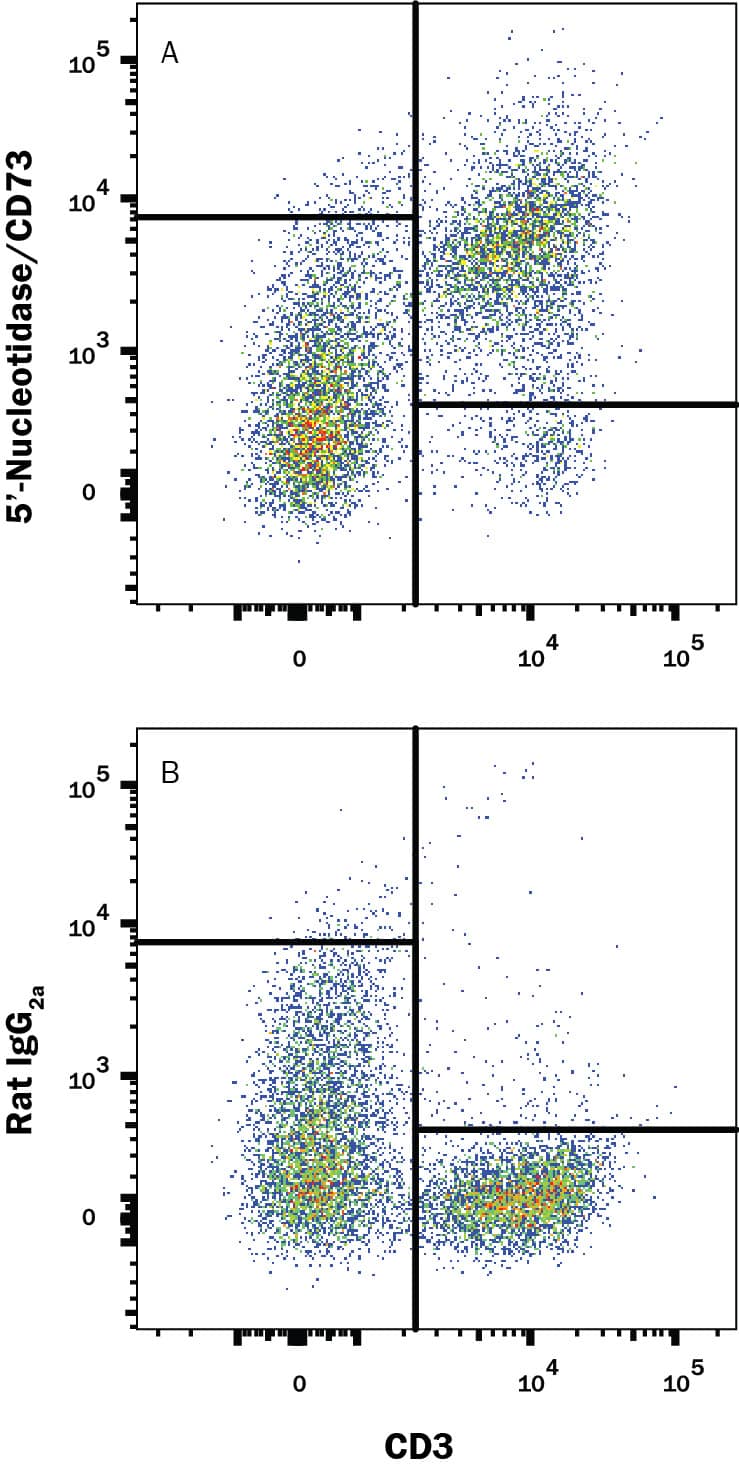 Mouse splenocytes were stained with Rat Anti-Mouse CD3 APC-conjugated Monoclonal Antibody (Catalog # FAB4841A) and either (A) Rat Anti-Mouse 5'-Nucleotidase/CD73 Monoclonal Antibody (Catalog # MAB4488) or (B) Rat IgG2AIsotype Control (Catalog # MAB006) followed by Phycoerythrin-conjugated Anti-Rat IgG F(ab')2Secondary Antibody (Catalog # F0105B). View our protocol for Staining Membrane-associated Proteins.