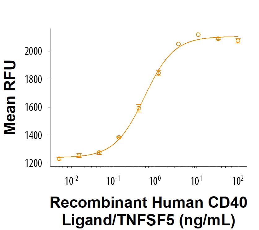 Recombinant Human CD40 Ligand/TNFSF5 (HEK293-expressed) (Catalog # 6420-CLB) stimulates the proliferation of human B cells in the presence of Recombinant Human IL‑4 (204-IL) and a cross linking HA Tag Antibody (MAB060). The ED50 for this effect is 0.250-3.00 ng/mL.