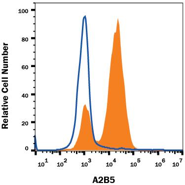 NTera-2 human testicular embryonic carcinoma cell line either treated with 10 µM retinoic acid for 4 days (filled histogram) or untreated (open histogram) was stained with Mouse Anti-Human/Mouse/Rat/Chicken A2B5 Biotinylated Monoclonal Antibody (Catalog # BAM1416), followed by Streptavidin-Allophycocyanin (Catalog # F0050). View our protocol for Staining Membrane-associated Proteins.