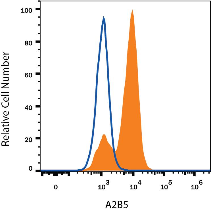 NTera‑2 human testicular embryonic carcinoma cell line either treated with 10 μM retinoic acid for 4 days (filled histogram) or untreated (open histogram) was stained with Mouse Anti-Human/Mouse/Rat/Chicken A2B5 Alexa Fluor® 488‑conjugated Monoclonal Antibody (Catalog # FAB1416G). View our protocol for Staining Membrane-associated Proteins.