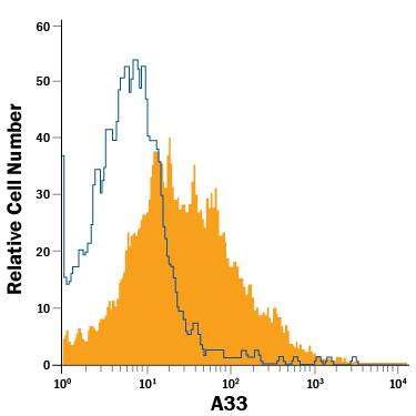 HT-29 human colon adenocarcinoma cell line was stained with Rat Anti-Human A33 APC-conjugated Monoclonal Antibody (Catalog # FAB3080A, filled histogram) or isotype control antibody (Catalog # IC006A, open histogram). View our protocol for Staining Membrane-associated Proteins.