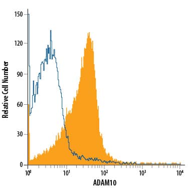 Mouse splenocytes were stained with Rat Anti-Mouse ADAM10 Ectodomain PE-conjugated Monoclonal Antibody (Catalog # FAB946P, filled histogram) or isotype control antibody (Catalog # IC006P, open histogram). View our protocol for Staining Membrane-associated Proteins.