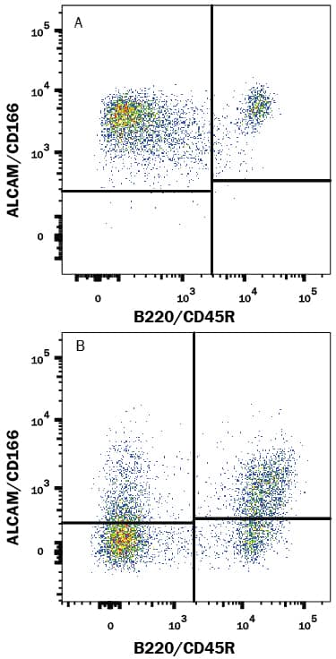 Mouse Splenocytes either (A) activated or (B) resting were stained with Goat Anti-Mouse ALCAM/CD166 Alexa Fluor® 700-conjugated Antigen Affinity-purified Polyclonal Antibody (Catalog # FAB1172N) and Rat Anti-Mouse B220/CD45R PE-conjugated Monoclonal Antibody (Catalog # FAB1217P). Quadrant markers were set based on control antibody staining (Catalog # IC108N). View our protocol for Staining Membrane-associated Proteins.