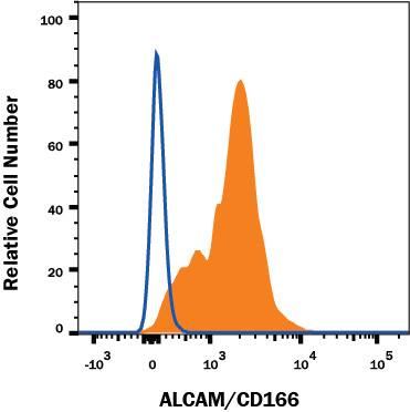 Human peripheral blood monocytes were stained with Mouse Anti-Human ALCAM/CD166 Alexa Fluor® 647-conjugated Monoclonal Antibody (Catalog # FAB6561R, filled histogram) or isotype control antibody (IC002R, open histogram). View our protocol for Staining Membrane-associated Proteins.