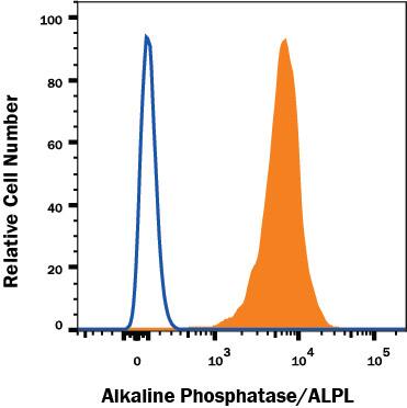 BG01V human embryonic stem cells were stained with Mouse Anti-Human Alkaline Phosphatase/ALPL Alexa Fluor® 647-conjugated Monoclonal Antibody (Catalog # FAB1448R, filled histogram) or isotype control antibody (Catalog # IC002R, open histogram). View our protocol for Staining Membrane-associated Proteins.