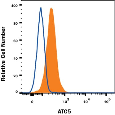 HeLa human cervical epithelial carcinoma cell line was stained with Mouse Anti-Human/Mouse/Rat ATG5 Alexa Fluor® 647-conjugated Monoclonal Antibody (Catalog # IC5294R, filled histogram) or isotype control antibody (Catalog # IC0041R, open histogram). To facilitate intracellular staining, cells were fixed and permeabilized with FlowX FoxP3 Fixation & Permeabilization Buffer Kit (Catalog # FC012). View our protocol for Staining Intracellular Molecules.