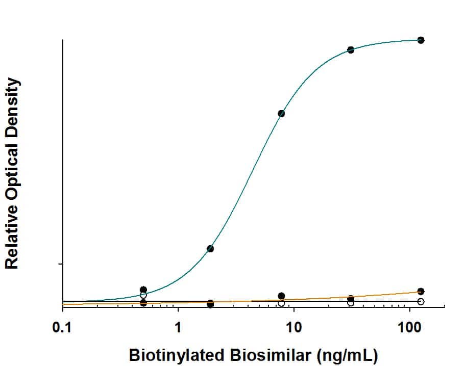 Biotinylated biosimilars were serially diluted and incubated with Anti-Adalimumab (Anti-Idiotype) Antibody (Catalog # MAB9546, green line) coated at 1  μg/mL on a 96-well polystyrene plate. No cross-reactivity with Trastuzumab (black line)  or Gemtuzumab (orange line) was observed.