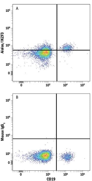 Human peripheral blood mononuclear cells (PBMCs) were stained with Mouse Anti-Human CD19 APC-conjugated Monoclonal Antibody (FAB4867A) and either (A) Mouse Anti-Human Aiolos/IKZF3 Alexa Fluor® 488-conjugated Monoclonal Antibody (Catalog # IC8625G) or (B) Mouse IgG1Alexa Fluor 488 Isotype Control (IC002G). To facilitate intracellular staining, cells were fixed and permeabilized with FlowX FoxP3 Fixation & Permeabilization Buffer Kit (FC012). View our protocol for Staining Intracellular Molecules.