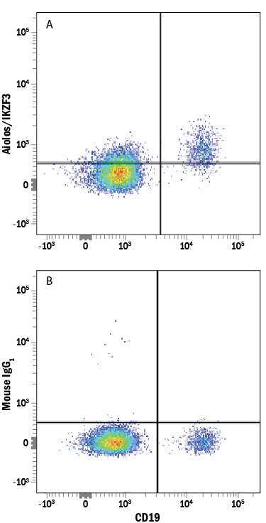 Human peripheral blood mononuclear cells (PBMCs) were stained with Mouse Anti-Human CD19 PE-conjugated Monoclonal Antibody (Catalog # FAB4867P) and either (A) Mouse Anti-Human Aiolos/IKZF3 Alexa Fluor® 647-conjugated Monoclonal Antibody (Catalog # IC8625R) or (B) Mouse IgG1Alexa Fluor 647 Isotype Control (Catalog # IC002R). To facilitate intracellular staining, cells were fixed and permeabilized with FlowX FoxP3 Fixation & Permeabilization Buffer Kit (Catalog # FC012). View our protocol for Staining Intracellular Molecules.