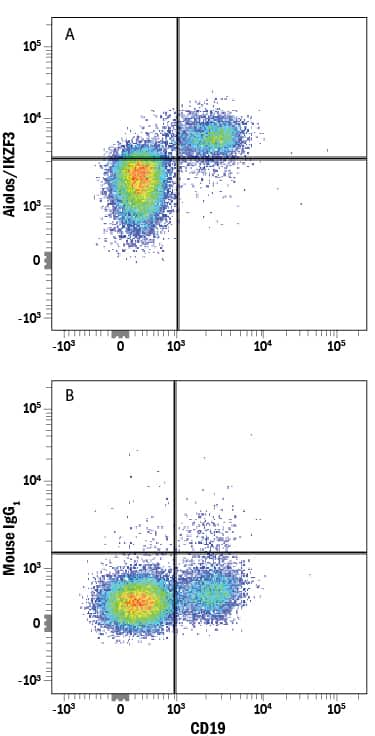 Human peripheral blood mononuclear cells (PBMCs) were stained with Mouse Anti-Human CD19 APC‑conjugated Monoclonal Antibody (Catalog # FAB4867A) and either (A) Mouse Anti-Human Aiolos/IKZF3 Monoclonal Antibody (Catalog # MAB8625) or (B) Mouse IgG2B Flow Cytometry Isotype Control (Catalog # MAB0041) followed by Phycoerythrin-conjugated Anti-Mouse IgG Secondary Antibody (Catalog # F0102B). To facilitate intracellular staining, cells were fixed and permeabilized with with FlowX FoxP3 Fixation & Permeabilization Buffer Kit (Catalog # FC012).