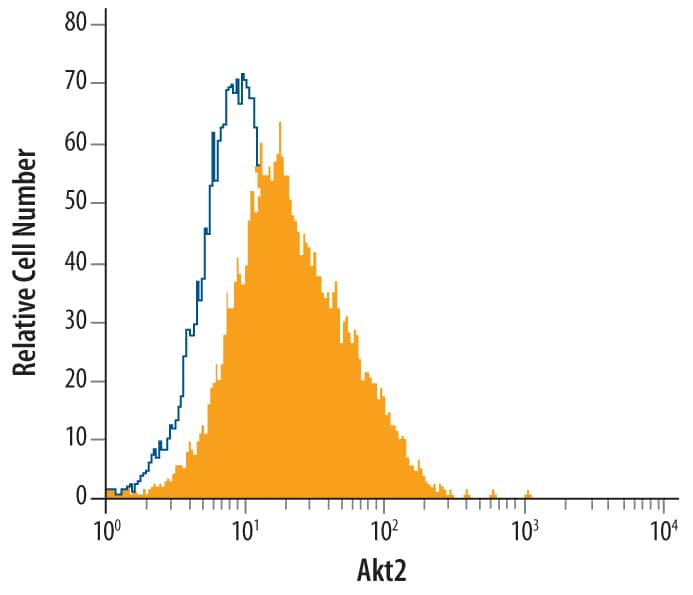 MCF‑7 human breast cancer cell line was stained with Mouse Anti-Human Akt2 Monoclonal Antibody (Catalog # MAB23152, filled histogram) or isotype control antibody (Catalog # MAB002, open histogram), followed by Phycoerythrin-conjugated Anti-Mouse IgG F(ab')2 Secondary Antibody (Catalog # F0102B). To facilitate intracellular staining, cells were fixed with paraformaldehyde and permeabilized with saponin.